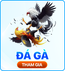 Đá gà